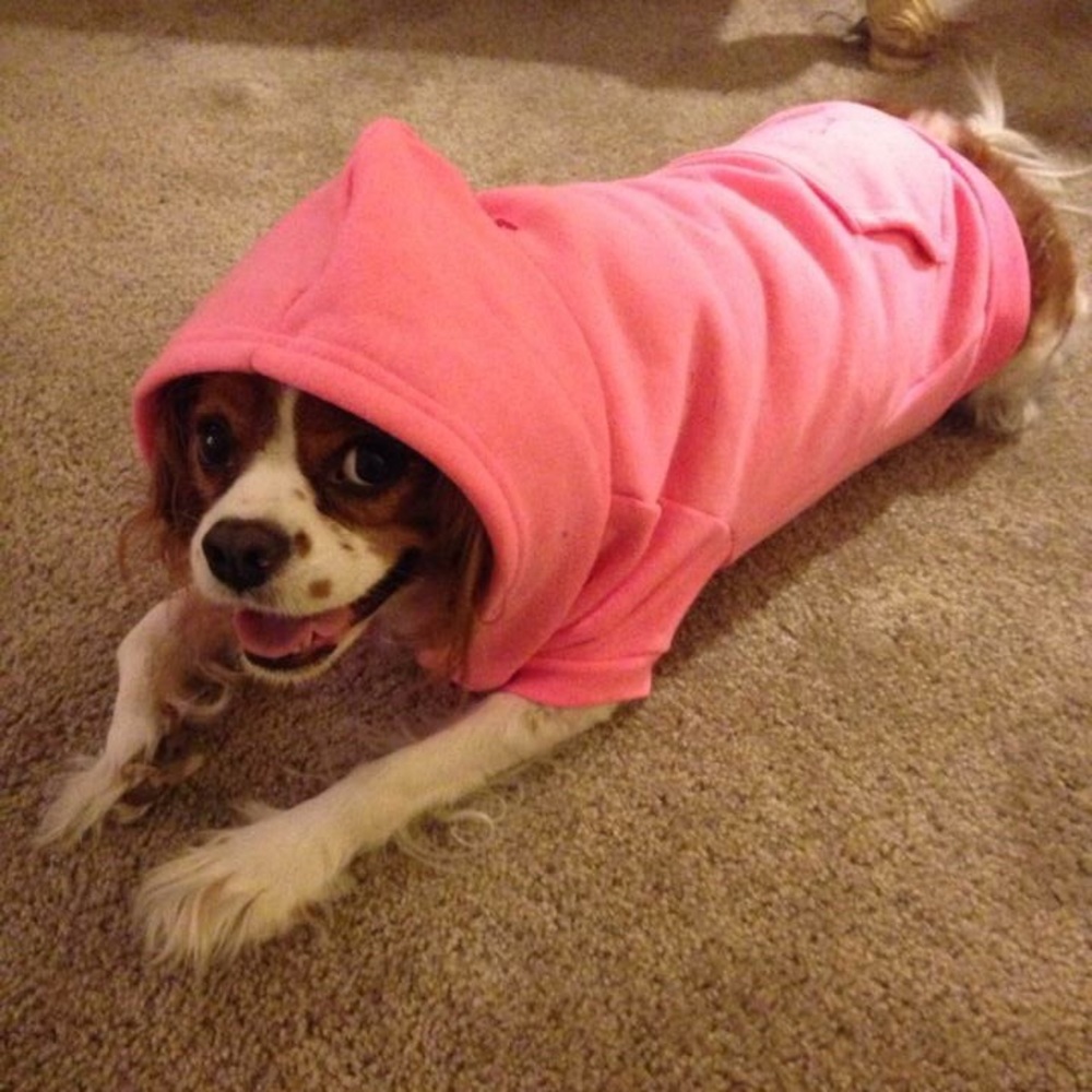 Meet your Posher, Chloe